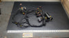 *2004-2007 Johnson Evinrude 0586764 586764 Engine Wiring Harness 65-90Hp Wire OEM
